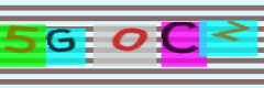 Captcha - case-insensitive