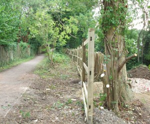 Developer's attempted encroachment of Sunset Lane BW, Burgess Hilll rebuffed- Aug 2010