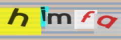 Captcha - case-insensitive